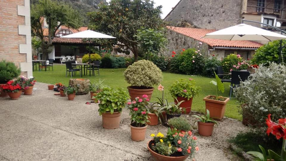 Posada De Muno Muñorrodero Extérieur photo